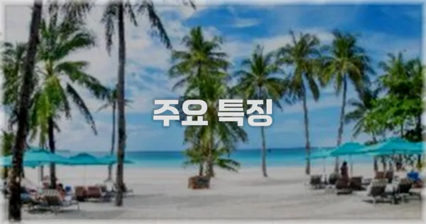 ✨ 주요 특징