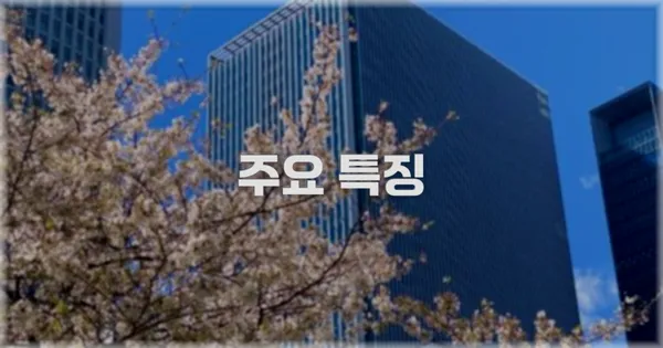 ✨ 주요 특징