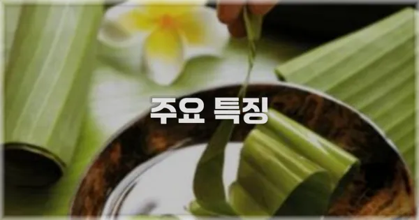 ✨ 주요 특징