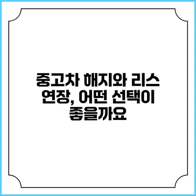 중고차 해지와 리스 연장, 어떤 선택이 좋을까요?