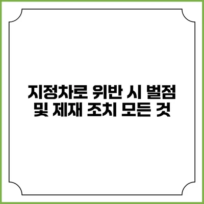 지정차로 위반 시 벌점 및 제재 조치 모든 것