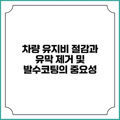 차량 유지비 절감과 유막 제거 및 발수코팅의 중요성