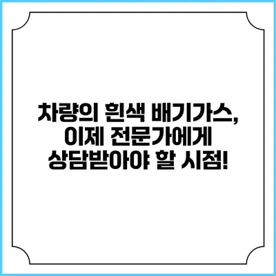 차량의 흰색 배기가스, 이제 전문가에게 상담받아야 할 시점!