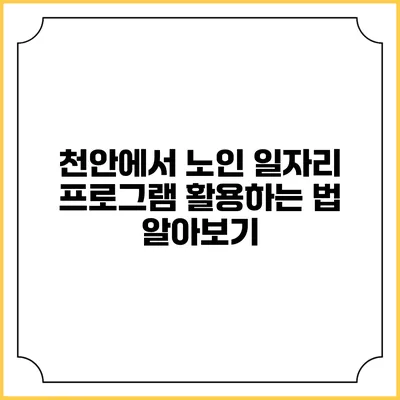 천안에서 노인 일자리 프로그램 활용하는 법 알아보기