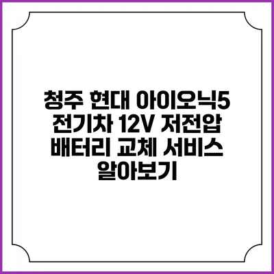 청주 현대 아이오닉5 전기차 12V 저전압 배터리 교체 서비스 알아보기
