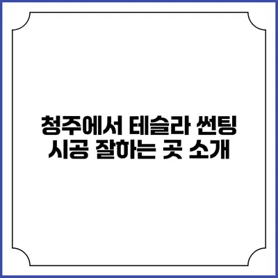 청주에서 테슬라 썬팅 시공 잘하는 곳 소개