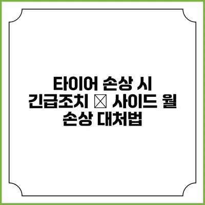 타이어 손상 시 긴급조치 – 사이드 월 손상 대처법