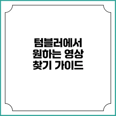 텀블러에서 원하는 영상 찾기 가이드