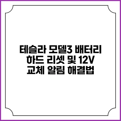 테슬라 모델3 배터리 하드 리셋 및 12V 교체 알림 해결법