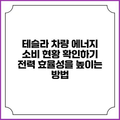 테슬라 차량 에너지 소비 현황 확인하기: 전력 효율성을 높이는 방법