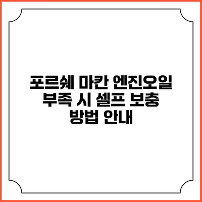 포르쉐 마칸 엔진오일 부족 시 셀프 보충 방법 안내