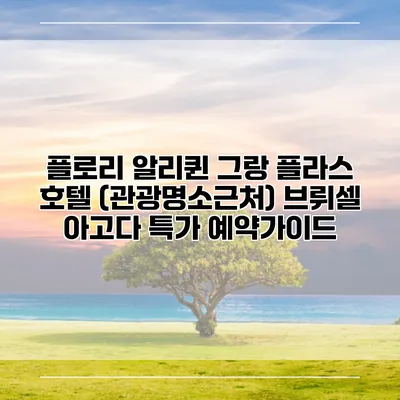 플로리 알리퀸 그랑 플라스 호텔 (관광명소근처) 브뤼셀 아고다 특가 예약가이드