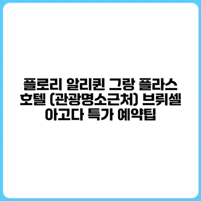 플로리 알리퀸 그랑 플라스 호텔 (관광명소근처) 브뤼셀 아고다 특가 예약팁
