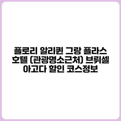 플로리 알리퀸 그랑 플라스 호텔 (관광명소근처) 브뤼셀 아고다 할인 코스정보