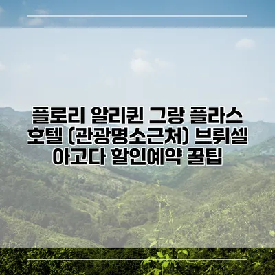 플로리 알리퀸 그랑 플라스 호텔 (관광명소근처) 브뤼셀 아고다 할인예약 꿀팁