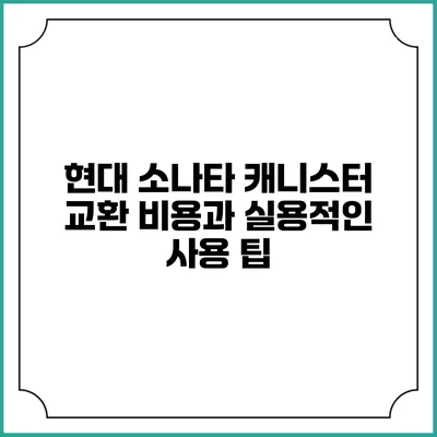 현대 소나타 캐니스터 교환 비용과 실용적인 사용 팁