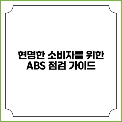 현명한 소비자를 위한 ABS 점검 가이드