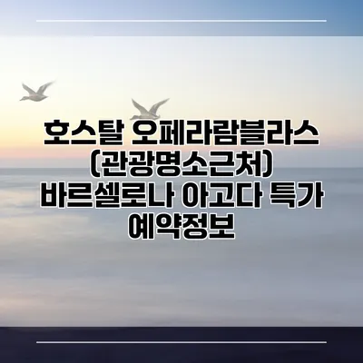 호스탈 오페라람블라스 (관광명소근처) 바르셀로나 아고다 특가 예약정보