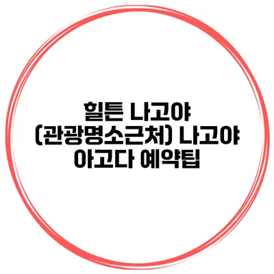 힐튼 나고야 (관광명소근처) 나고야 아고다 예약팁