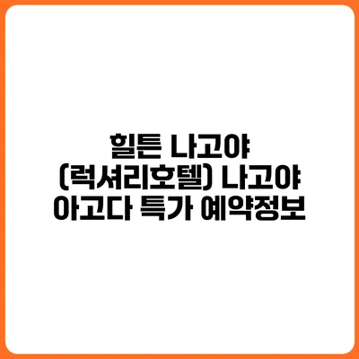 힐튼 나고야 (럭셔리호텔) 나고야 아고다 특가 예약정보