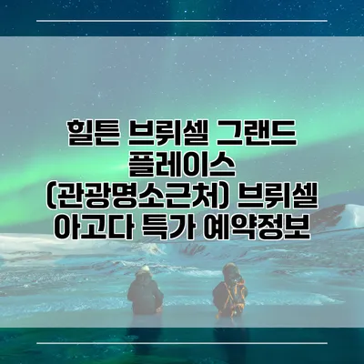 힐튼 브뤼셀 그랜드 플레이스 (관광명소근처) 브뤼셀 아고다 특가 예약정보