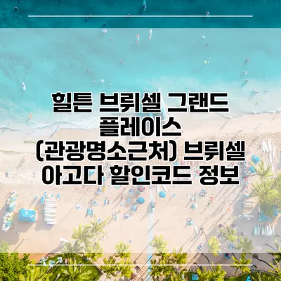 힐튼 브뤼셀 그랜드 플레이스 (관광명소근처) 브뤼셀 아고다 할인코드 정보
