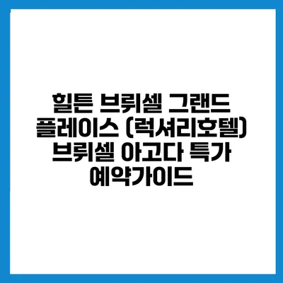 힐튼 브뤼셀 그랜드 플레이스 (럭셔리호텔) 브뤼셀 아고다 특가 예약가이드