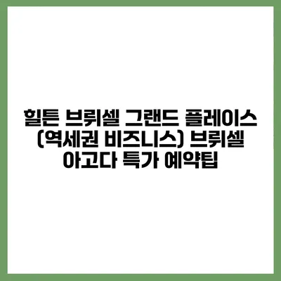 힐튼 브뤼셀 그랜드 플레이스 (역세권 비즈니스) 브뤼셀 아고다 특가 예약팁